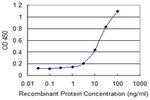 CCL1 Antibody in ELISA (ELISA)