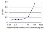 CXCL6 Antibody in ELISA (ELISA)