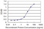 SLC20A2 Antibody in ELISA (ELISA)