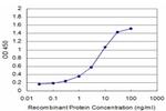 SPP1 Antibody in ELISA (ELISA)