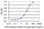 SULT1A3 Antibody in ELISA (ELISA)