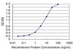 TCEA3 Antibody in ELISA (ELISA)