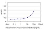 TDO2 Antibody in ELISA (ELISA)