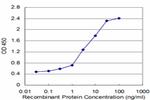 TPT1 Antibody in ELISA (ELISA)