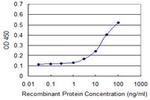 PHLDA2 Antibody in ELISA (ELISA)