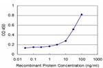 TTK Antibody in ELISA (ELISA)