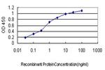 TTN Antibody in ELISA (ELISA)