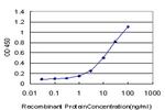 ZNF24 Antibody in ELISA (ELISA)