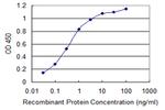 CXCR4 Antibody in ELISA (ELISA)