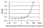 MYL9 Antibody in ELISA (ELISA)