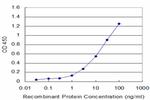 PNMA2 Antibody in ELISA (ELISA)