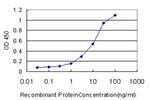 NISCH Antibody in ELISA (ELISA)