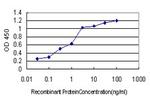 ICOSLG Antibody in ELISA (ELISA)