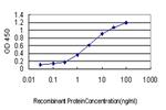 ICOSLG Antibody in ELISA (ELISA)