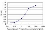 HEY1 Antibody in ELISA (ELISA)