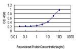 GREM1 Antibody in ELISA (ELISA)