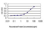 GREM1 Antibody in ELISA (ELISA)