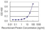 EIF2C2 Antibody in ELISA (ELISA)