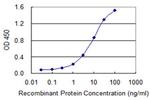 FIS1 Antibody in ELISA (ELISA)