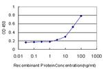 EGFL7 Antibody in ELISA (ELISA)