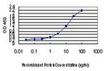 ZAK Antibody in ELISA (ELISA)