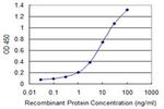 DLL4 Antibody in ELISA (ELISA)