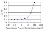 ENAH Antibody in ELISA (ELISA)