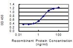 AVPI1 Antibody in ELISA (ELISA)