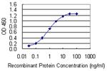 CRTC3 Antibody in ELISA (ELISA)