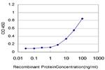 LASS4 Antibody in ELISA (ELISA)