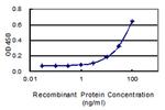 ZNF160 Antibody in ELISA (ELISA)