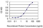 IL17F Antibody in ELISA (ELISA)