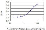 HRASLS5 Antibody in ELISA (ELISA)