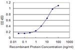 IL31RA Antibody in ELISA (ELISA)