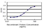 FSIP1 Antibody in ELISA (ELISA)