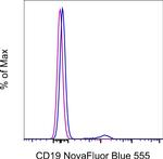 CD19 Antibody in Flow Cytometry (Flow)