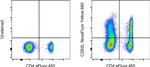 CD62L (L-Selectin) Antibody in Flow Cytometry (Flow)