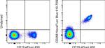 CD268 (BAFF Receptor) Antibody in Flow Cytometry (Flow)