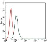 HAS3 Antibody in Flow Cytometry (Flow)