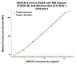 HDAC10 Antibody in Luminex (LUM)