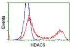 HDAC6 Antibody in Flow Cytometry (Flow)