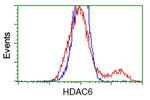 HDAC6 Antibody in Flow Cytometry (Flow)