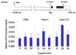 HDAC9 Antibody in ChIP Assay (ChIP)