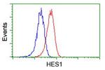 HES1 Antibody in Flow Cytometry (Flow)