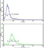 HOXA5 Antibody in Flow Cytometry (Flow)