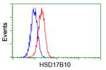 HSD17B10 Antibody in Flow Cytometry (Flow)