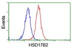 HSD17B2 Antibody in Flow Cytometry (Flow)