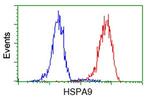 HSPA9 Antibody in Flow Cytometry (Flow)