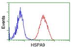 HSPA9 Antibody in Flow Cytometry (Flow)