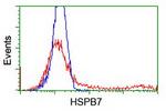 HSPB7 Antibody in Flow Cytometry (Flow)